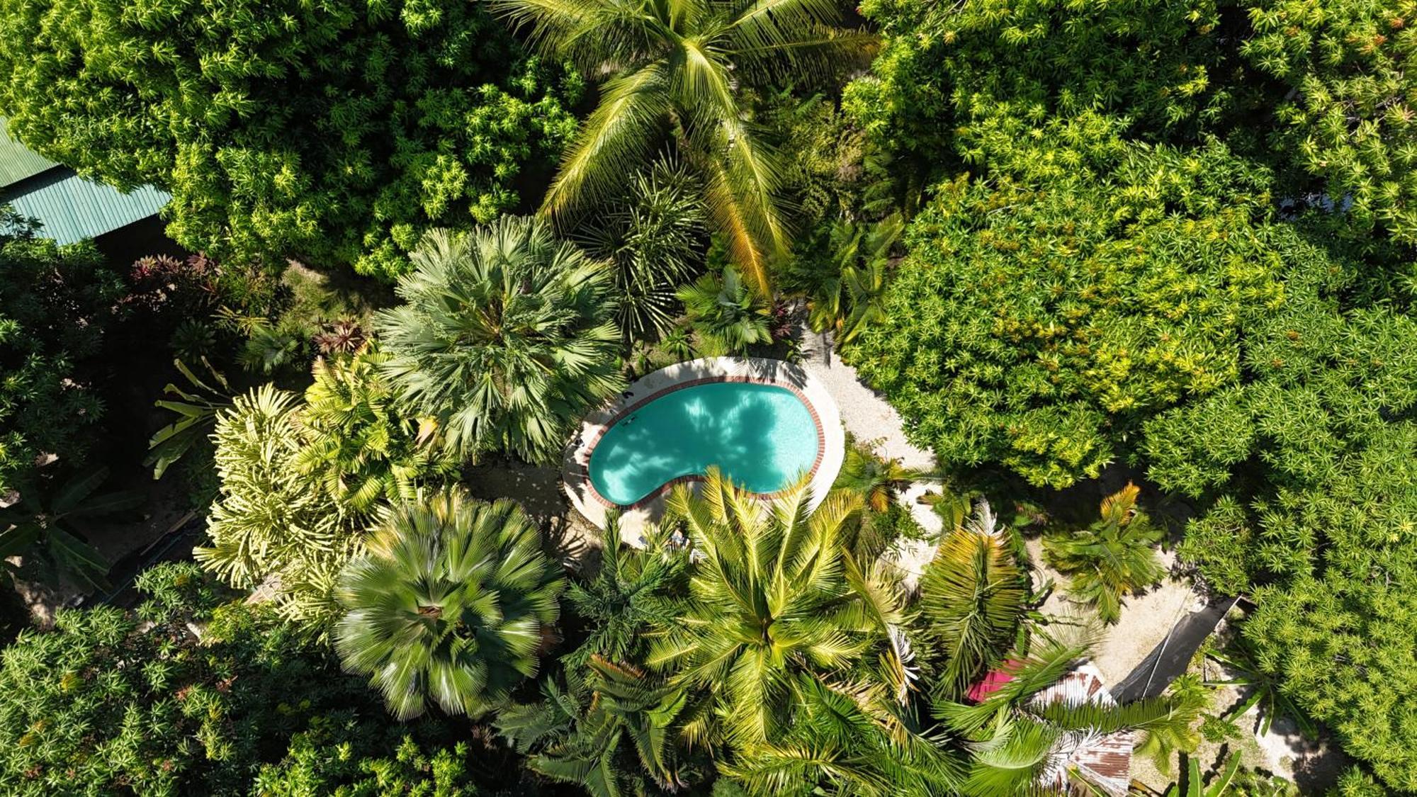 Hotel Luz De Luna Playa Santa Teresa  المظهر الخارجي الصورة